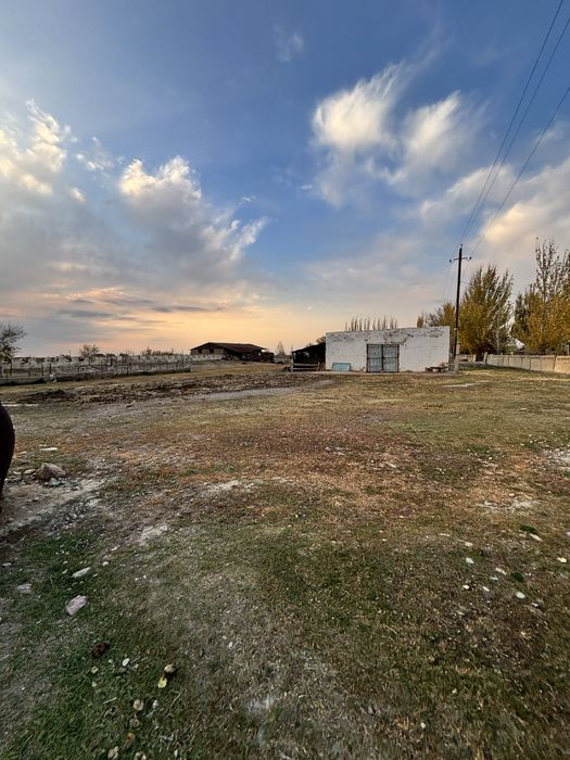 Баз, Фазенда ауыл ішінде