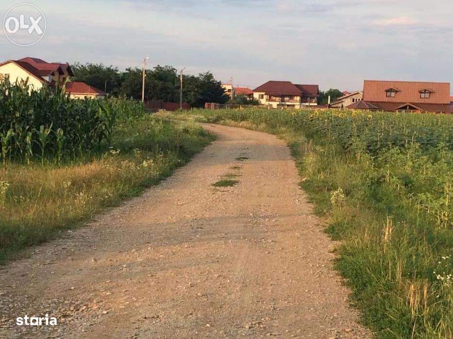 Teren Ghermanesti-Ciofliceni, Snagov, Str. Stefanita Voda, negociabil