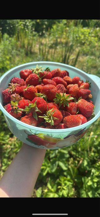 Срочно Продам дачу