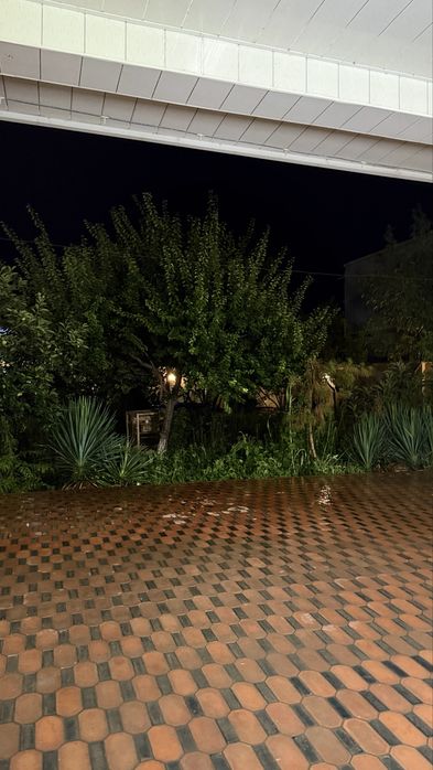 Dacha Rio arendaga beriladi