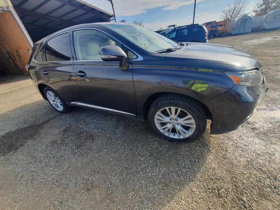 Lexus Seria RX