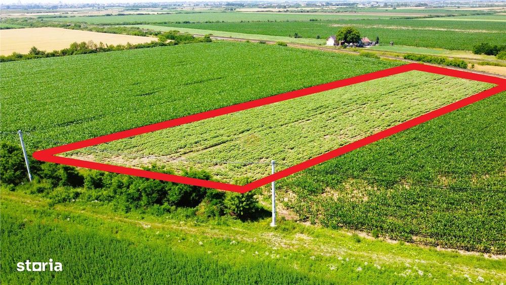 Teren extravilan - 5.000 m² in Botiz | 3 km de Satu Mare