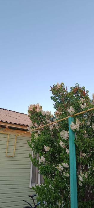 СРОЧНО!!!Продам дом на Комбинатском