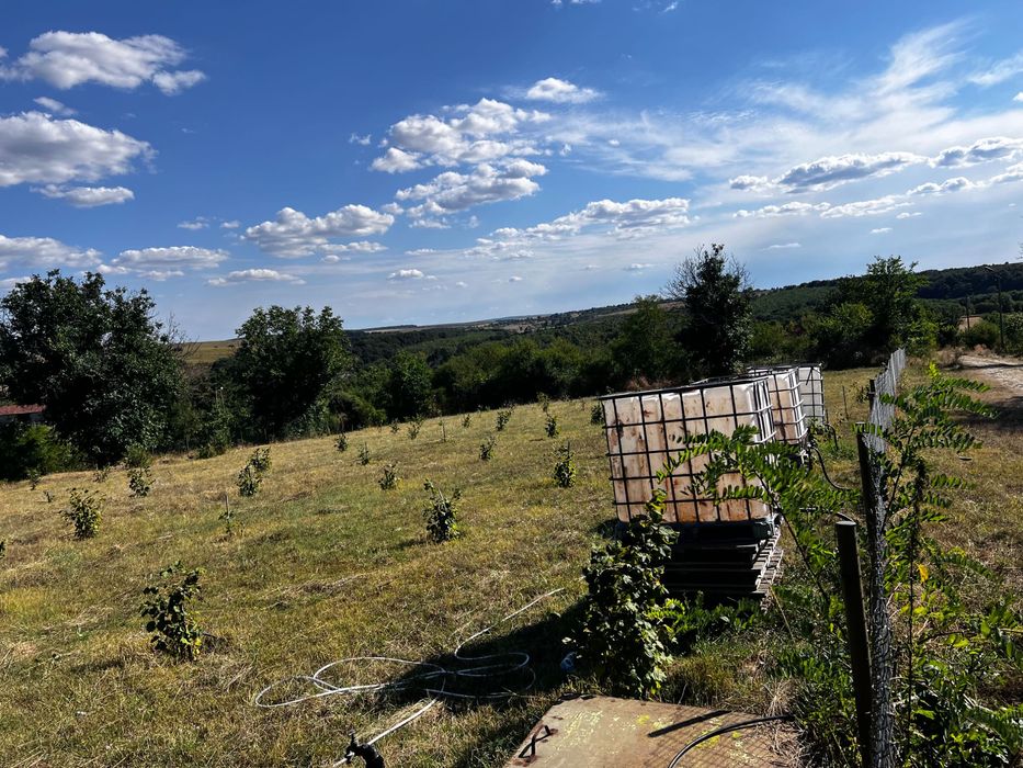 Продава се Парцел в с. Голям Поровец, Област Разград - 2631 кв.м за 10 €/кв.м - Снимка #6