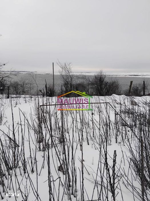 Vand teren in sat Silistea jud, Calarasi, pe maul Mostistei