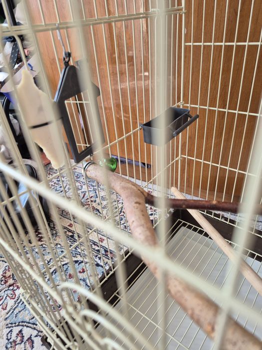 Клетка для попугая
