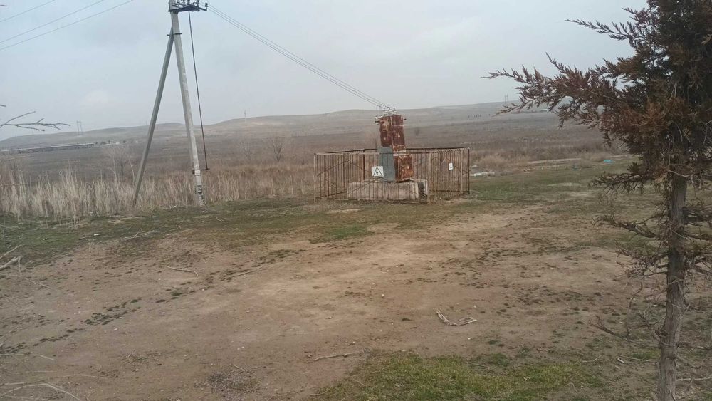 Уй сотилади нишон грес олдида 8 сутик