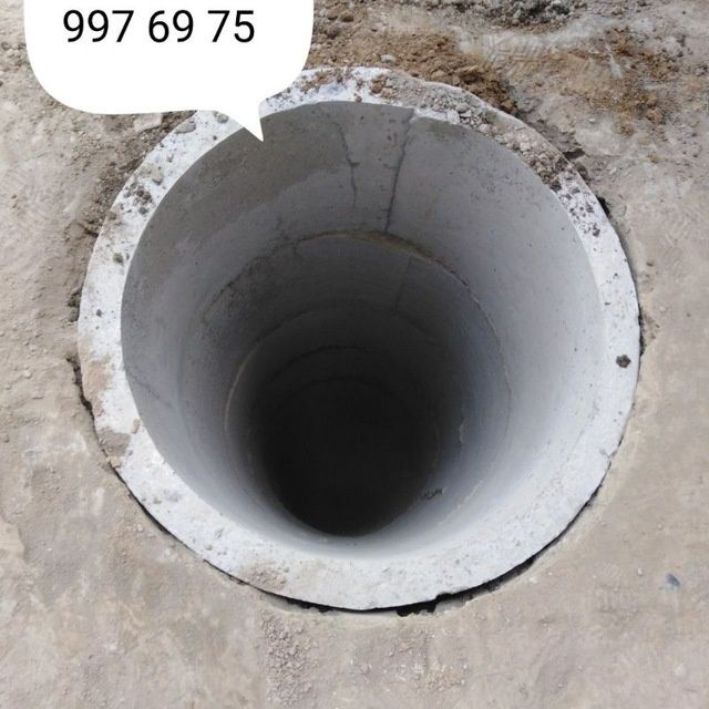Kalodis dastafka qilamiz