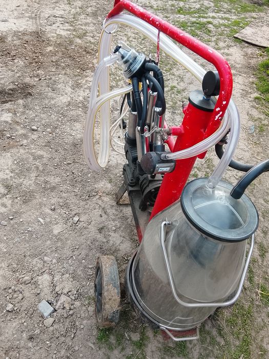Vînd motocultor 14 cp preț.1300 euro și mulgătoare vaci 1600 lei