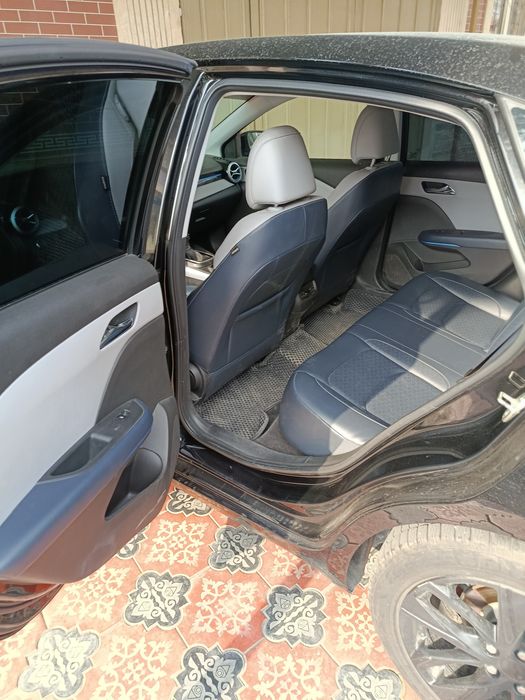 Monza at qora sotiladi