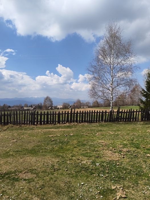 Teren plat 2.920 mp  Dealul Negru 5km de Beliș  vedere muntele Vlădeasa