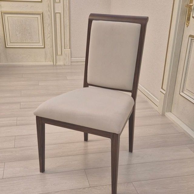 Кофренционный стул аренда . Konfrensiyalar uchun stullar ijaraga .