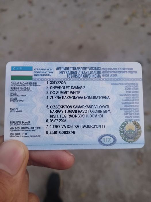 Damas. 2024 zur holatda