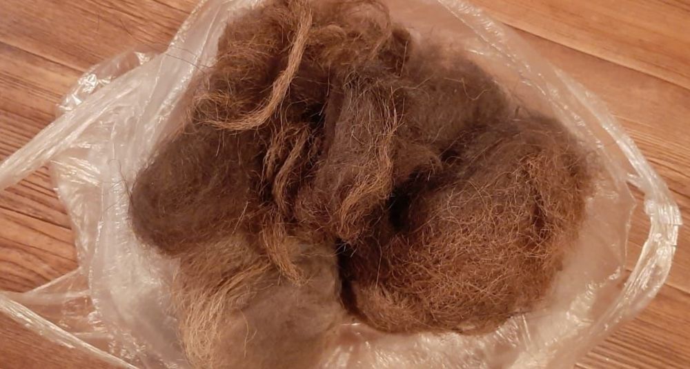 Верблюжья шерсть/Түйенің жүні