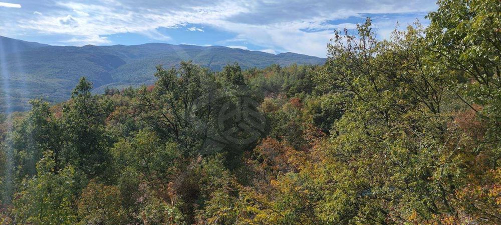 Продава се Парцел в с. Храбрино, Област Пловдив - 490 кв.м за 41 €/кв.м - Снимка #3