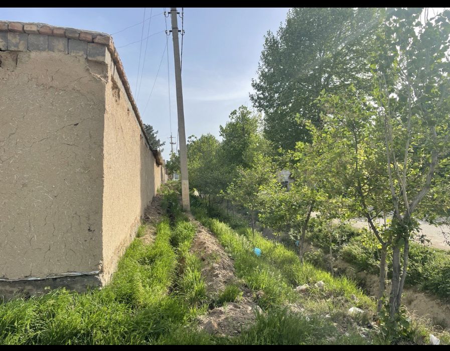 Земля с фруктовыми деревьями