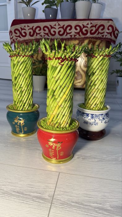 Бамбук в керамике