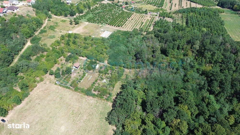 Gaminvest Teren intravilan de vanzare, Paleu, Bihor,V4312