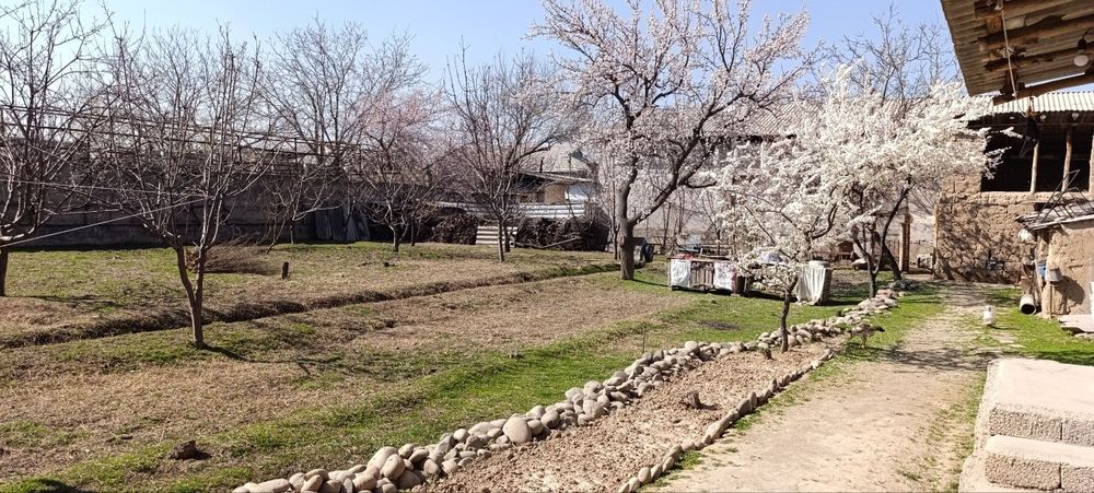 Ер сотилади 7 сотик. Бетемир туманда