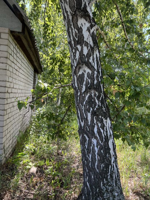 Продам дачный участок 9 соток