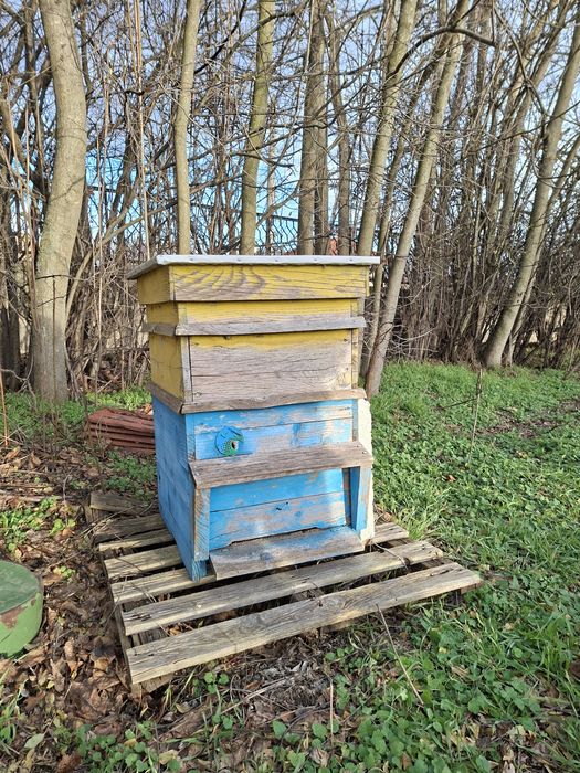 Ръчна центрофуга за мед и два използвани големи кошера