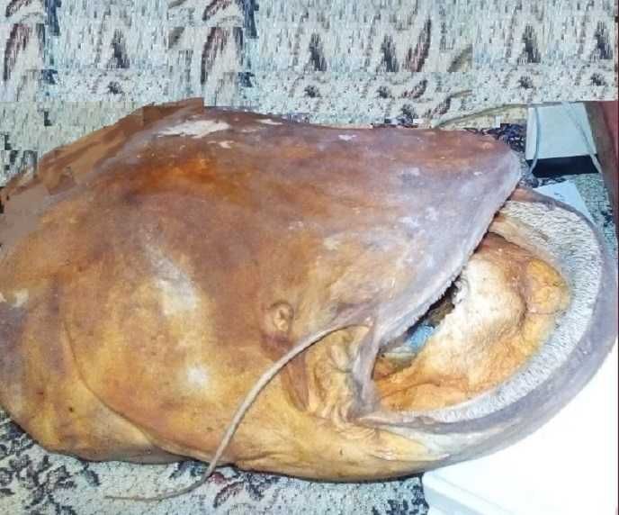 Коллекция антикварных и ретро предметов мужского пользования (из СССР)