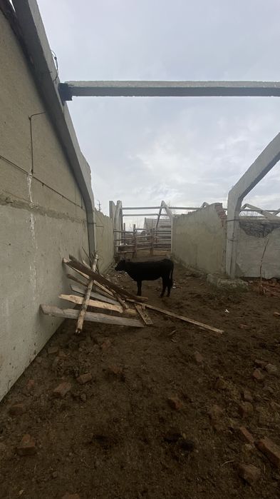 Продам Базу для откорм