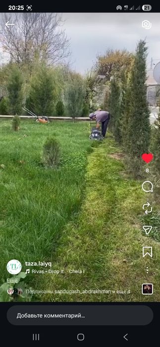 Газон орамыз Шымкент