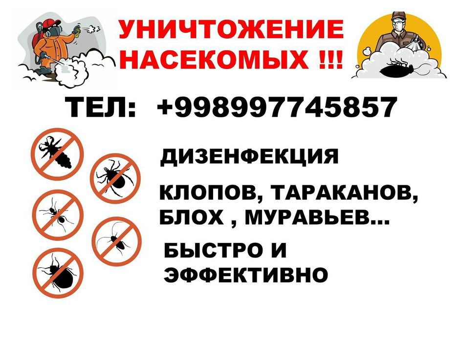 Дезинфекция дезенфекция дизенфекция dezenfeksiya dizinfeksiya dezinfe