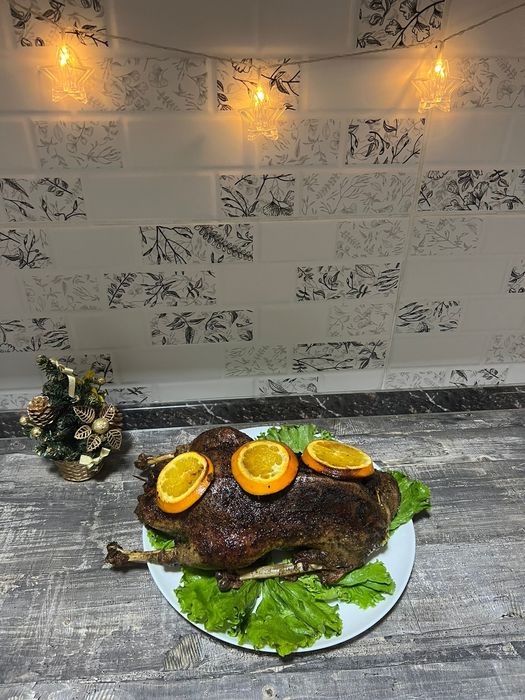 Домашние молодые гуси