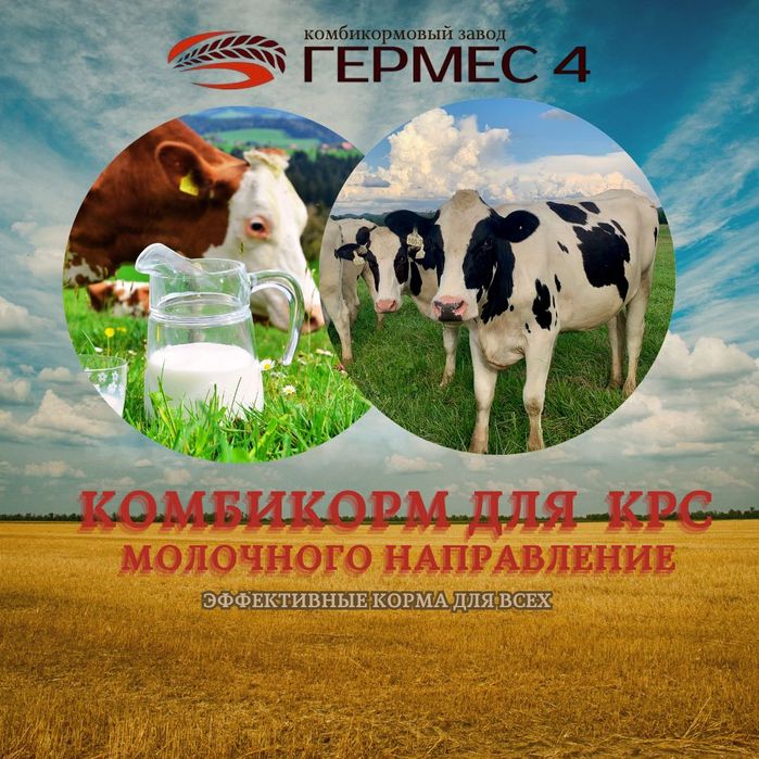 Комбикорм для всех направлений