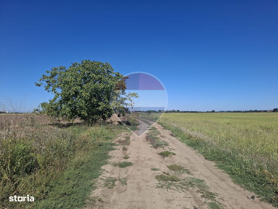 Vanzare teren extravilan 5.000mp - Pantelimon