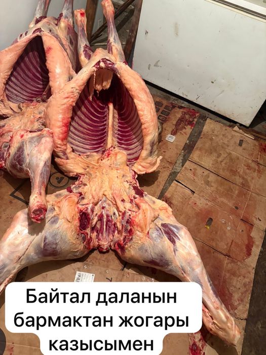 Донежин Байтал даланын