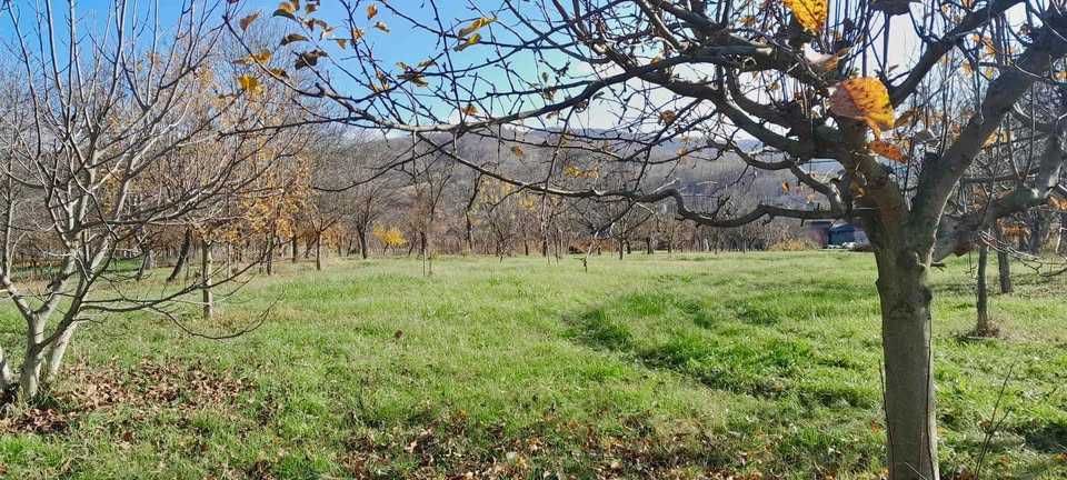 Teren intravilan de vanzare la Teaca jud. Bistrita Nasaud, pret negociabil
