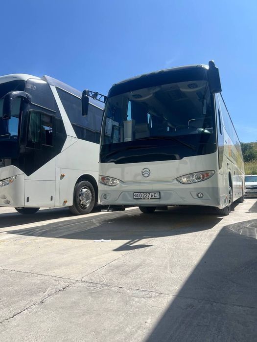 Golden Dragon Avtobus