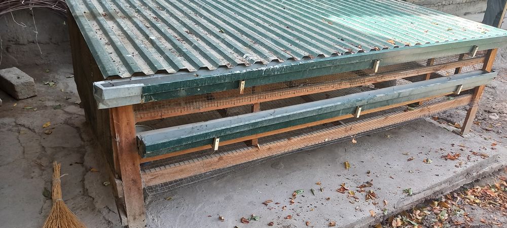 Tovuq uyi,katak 50 ta tovuq ketadigan universal