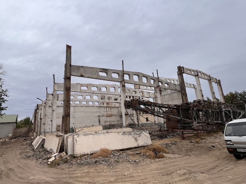 Bolka  Qolona  sotialdi