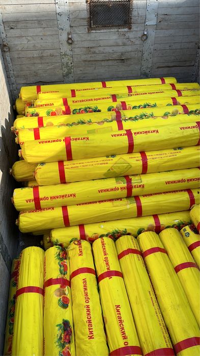 Арбузный клионка