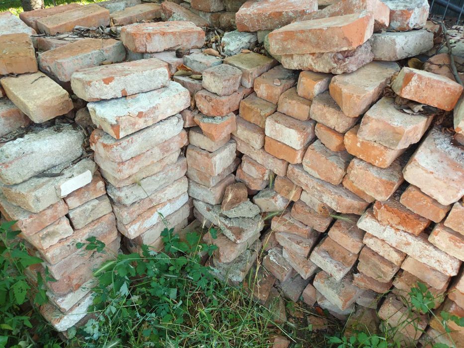 Cărămidă plină  2 lei buc.