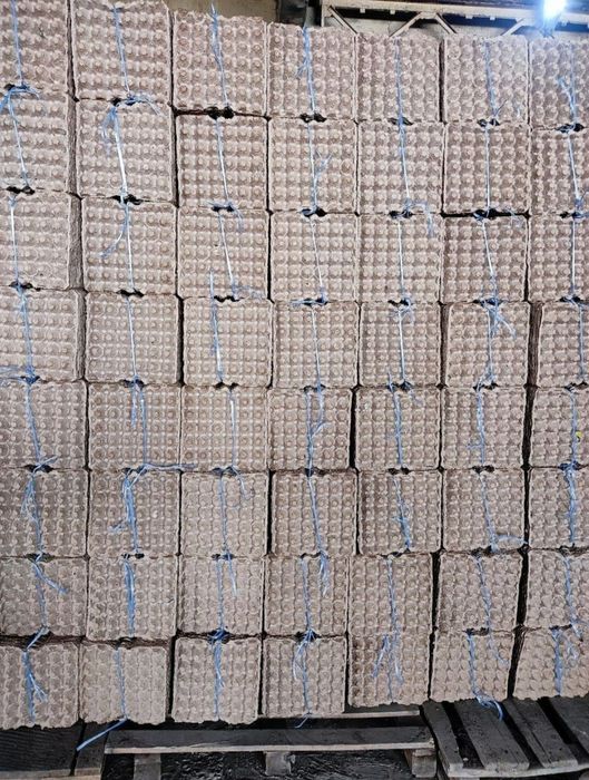 Флейки fleyka...