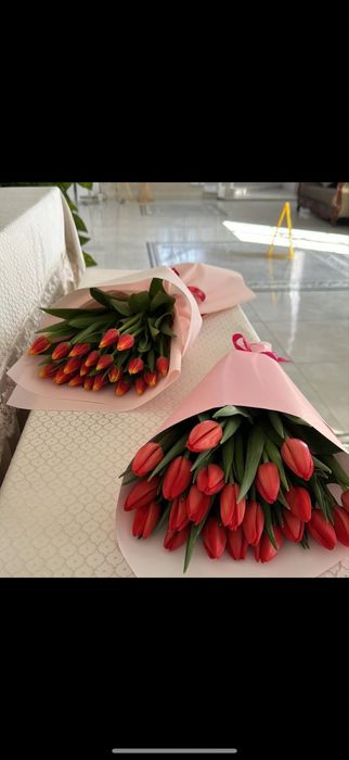 Тюльпан к 8 марта