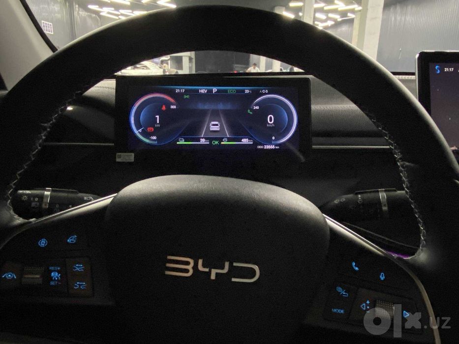 BYD Chazor, 2025
