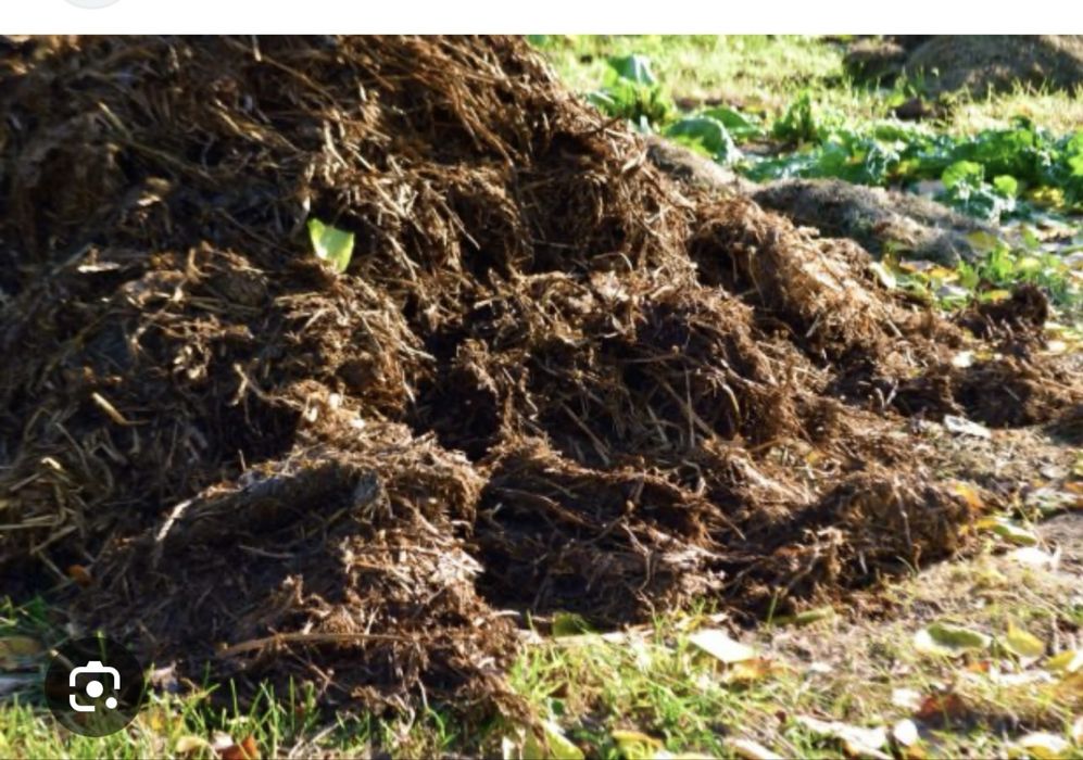 Перегной бесплотно