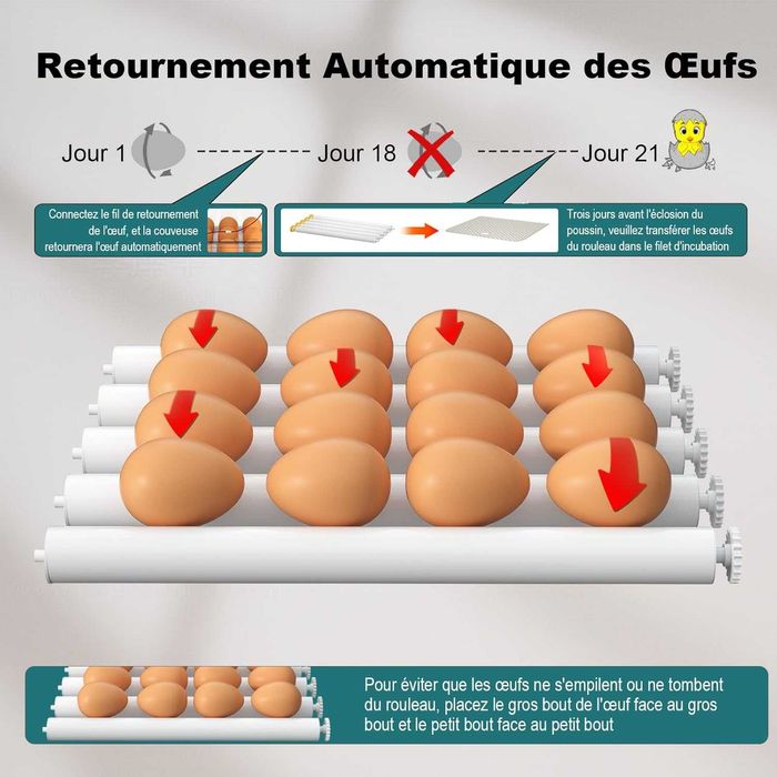 CoInceptus инкубатор 12–16 яйца – автоматично обръщане и влага