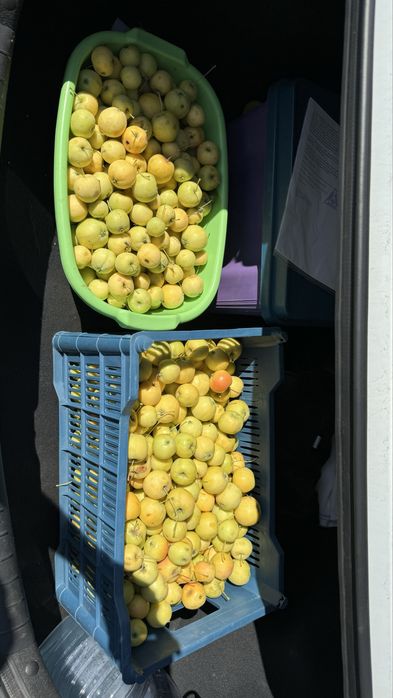 Дача на Федоровке Машиностроитель