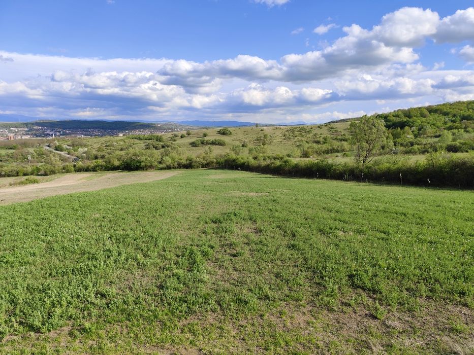 Teren intravilan / extravilan Răcăștia