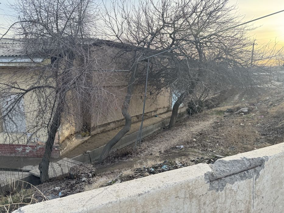 Ko’ksaroyda insitutdan otganda masjiddi torisida ugulavoy yaxshi joy