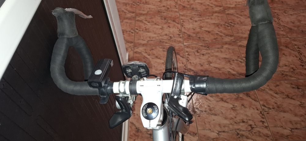 Cursieră Raleigh