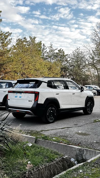 Dongfeng Nammi 06