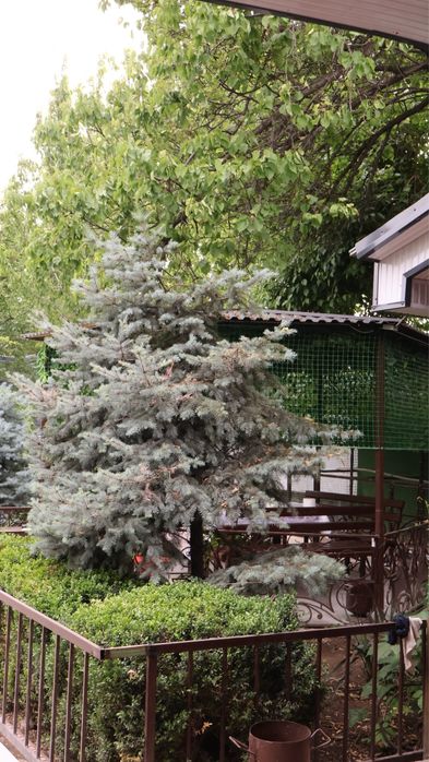 Сдаеться дача Кайнар булак